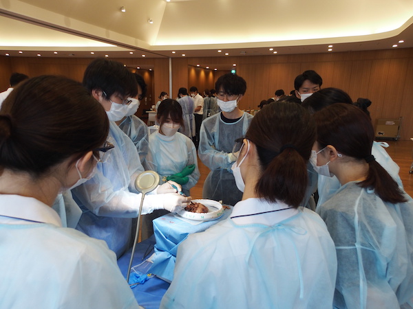 第10回　昭和大学江東豊洲病院 心臓血管外科 ウェットラボ